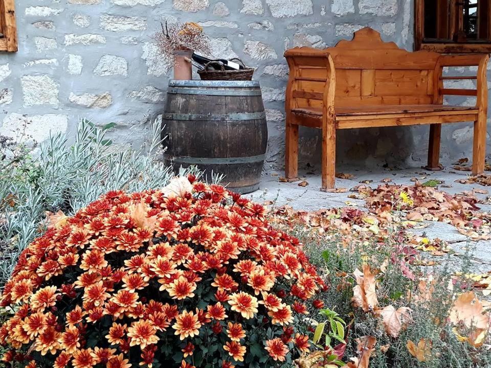 Karadi-Berger Vendeghaz Appartement Erdőbénye Buitenkant foto