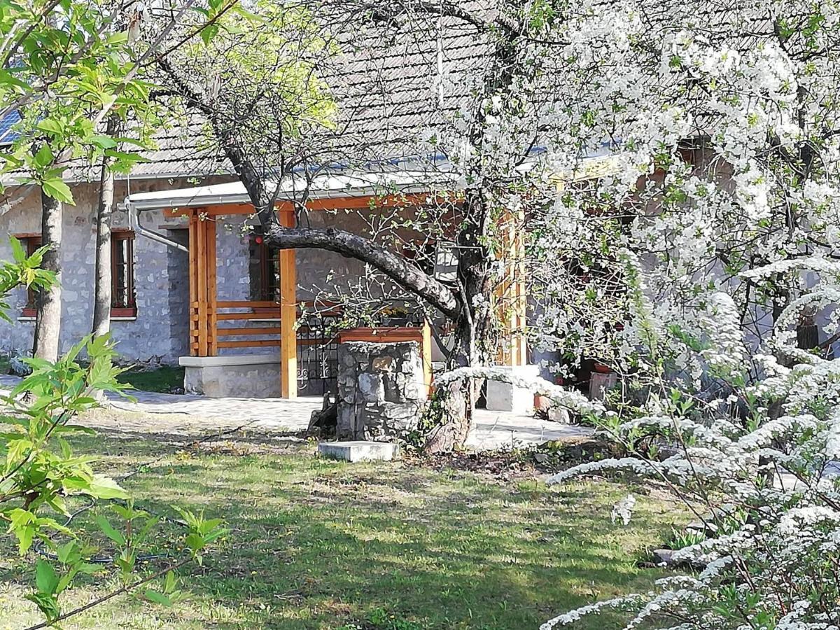 Karadi-Berger Vendeghaz Appartement Erdőbénye Buitenkant foto