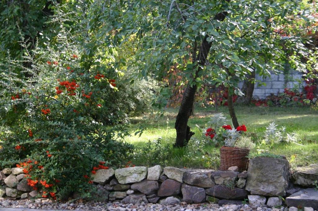 Karadi-Berger Vendeghaz Appartement Erdőbénye Buitenkant foto
