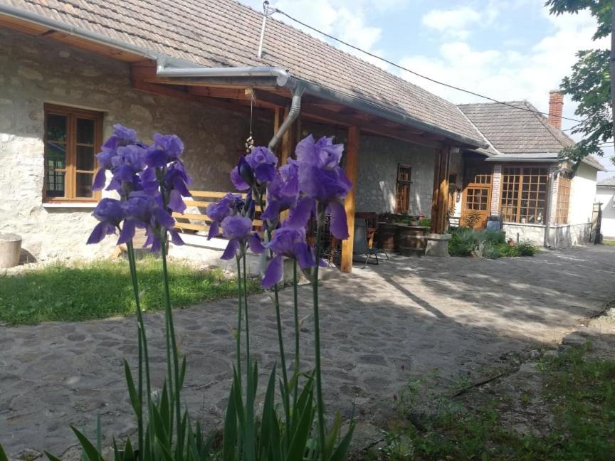 Karadi-Berger Vendeghaz Appartement Erdőbénye Buitenkant foto