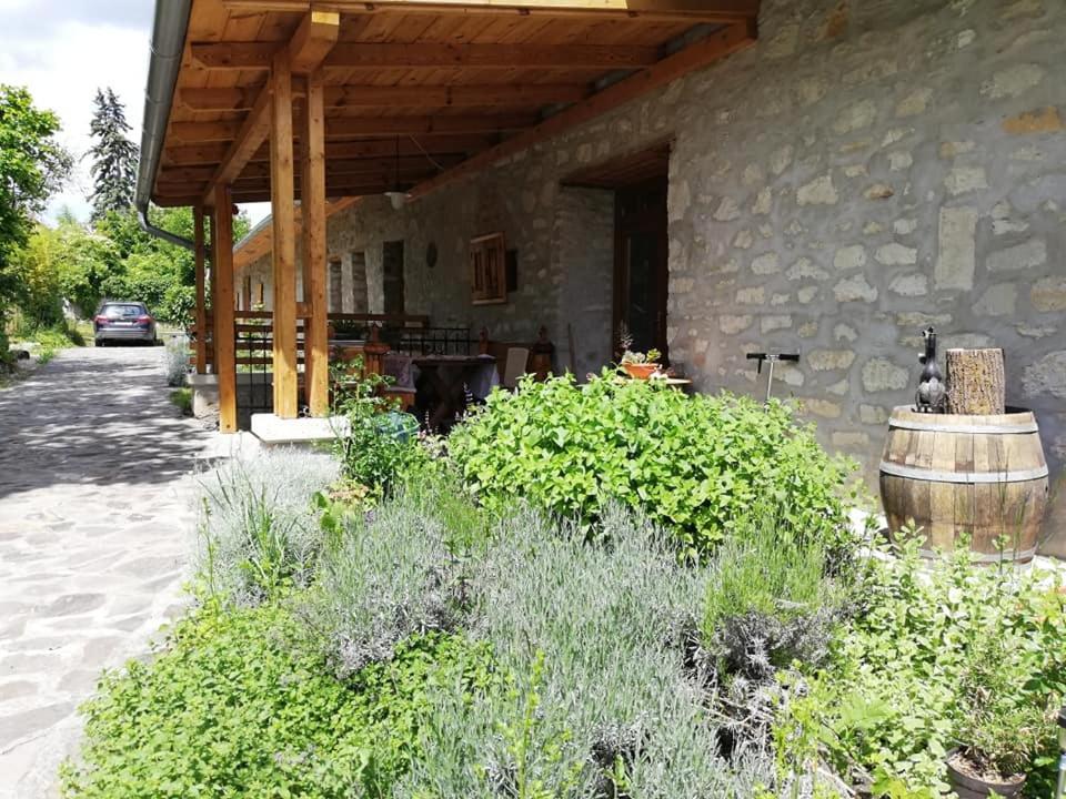 Karadi-Berger Vendeghaz Appartement Erdőbénye Buitenkant foto