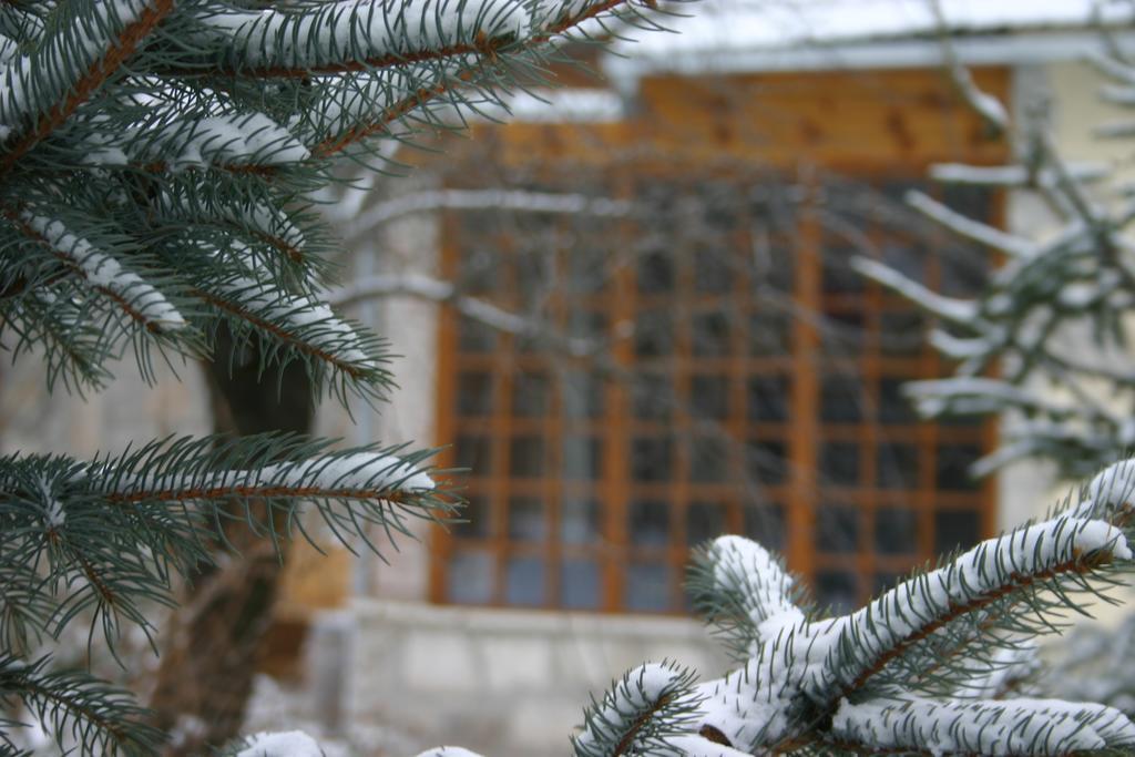 Karadi-Berger Vendeghaz Appartement Erdőbénye Buitenkant foto