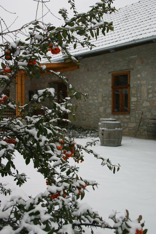 Karadi-Berger Vendeghaz Appartement Erdőbénye Buitenkant foto