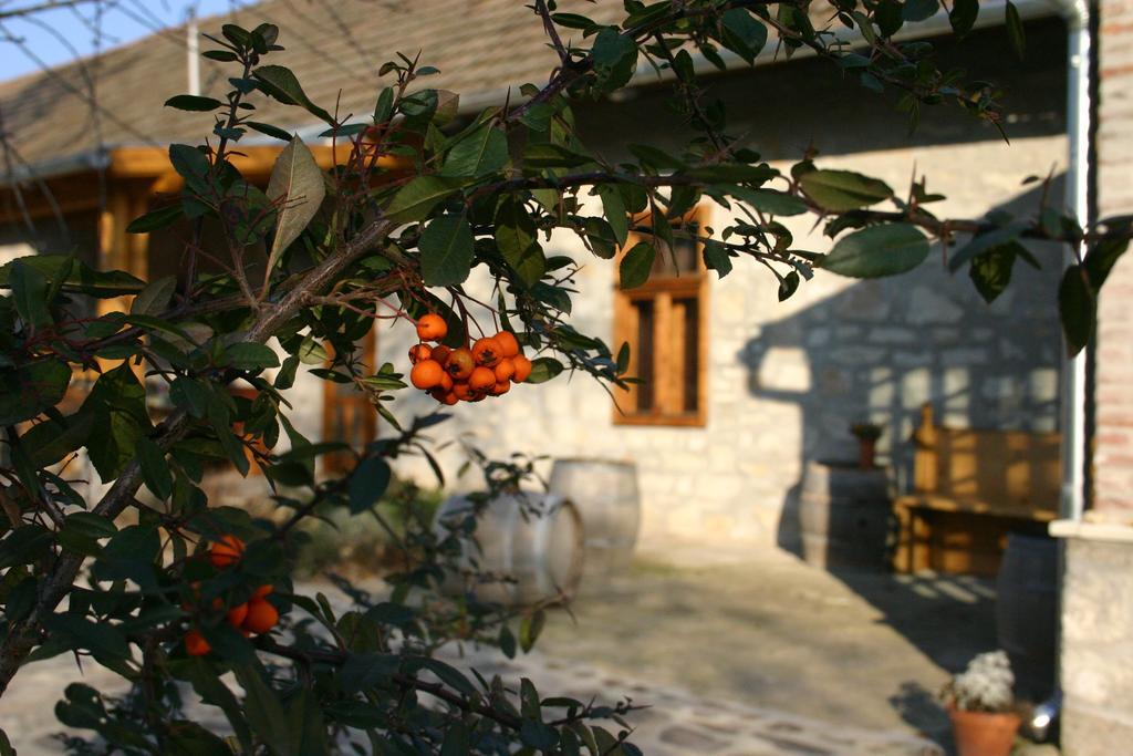 Karadi-Berger Vendeghaz Appartement Erdőbénye Kamer foto